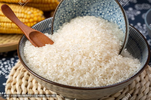 有機大米圖片素材下載 食品餐飲素材下的五谷雜糧圖片素材